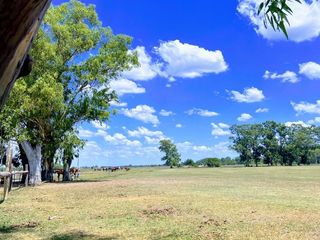 Foto 4 de Campo en venta - 31Ha - Brandsen-Ruta 2 km 90