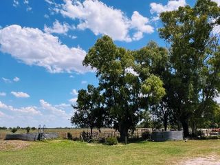 Foto 16 de Campo en venta - 31Ha - Brandsen-Ruta 2 km 90