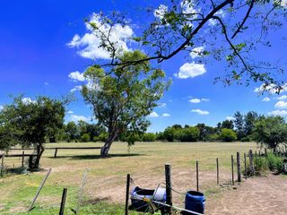 Foto 14 de Campo en venta - 31Ha - Brandsen-Ruta 2 km 90