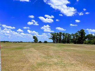 Foto 18 de Campo en venta - 31Ha - Brandsen-Ruta 2 km 90