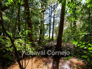 Foto 33 de Terreno | Lote al agua en venta - Puertos Escobar | Amarras
