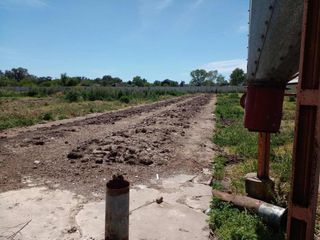 Foto 9 de Terreno en venta - 10542Mts2 - Arturo Seguí