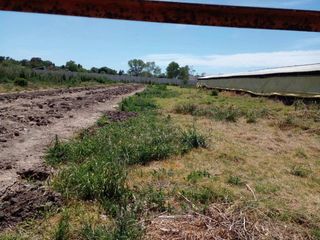 Foto 5 de Terreno en venta - 10542Mts2 - Arturo Seguí