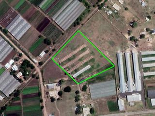 Foto 8 de Terreno en venta - 10542Mts2 - Arturo Seguí