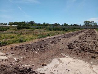Foto 4 de Terreno en venta - 10542Mts2 - Arturo Seguí