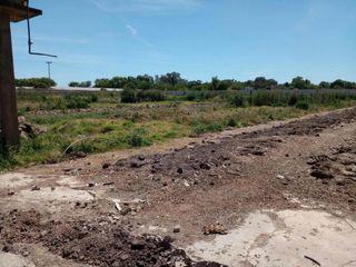 Foto 6 de Terreno en venta - 10542Mts2 - Arturo Seguí