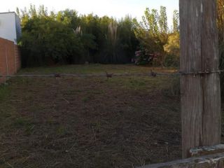 Foto 3 de Terreno en venta - 414Mts2 - San Miguel del Monte
