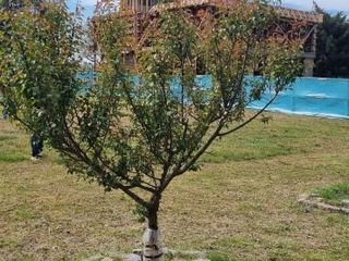 Foto 2 de Terreno en venta - 1430Mts2 - San Eliseo Golf Club, Presidente Perón
