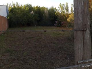 Foto 2 de Terreno en  Monte