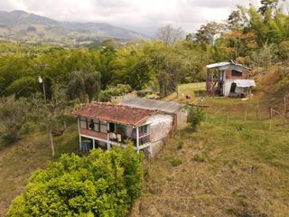 Foto 5 de Paraíso En Calima: Finca Multifacética Con Negocio Incluido