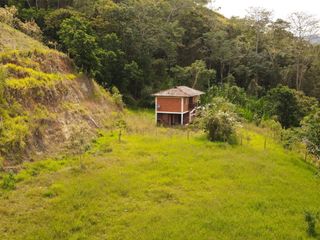 Foto 4 de Paraíso En Calima: Finca Multifacética Con Negocio Incluido