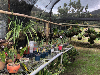 Foto 29 de Venta De Finca Puente Tierra Via Al Lago Calima Valle Del Cauca