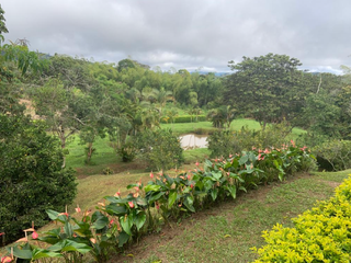 Foto 22 de Venta De Finca Puente Tierra Via Al Lago Calima Valle Del Cauca