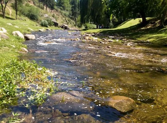 place photo 17