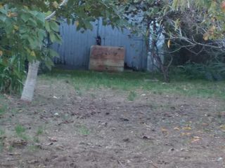 Foto 2 de Terreno en Monte