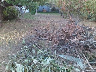 Foto 1 de Terreno en Monte