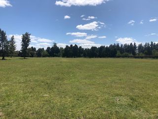 Foto 6 de Terreno - Estancia Las Malvinas