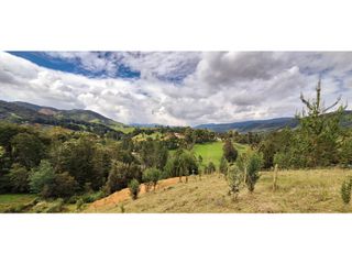 Foto 5 de Lote en venta en Belmira con excelente vista a 90 minutos de Medellín