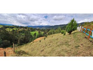 Foto 11 de Lote en venta en Belmira con excelente vista a 90 minutos de Medellín