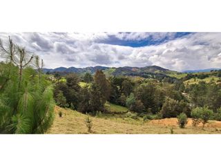 Foto 16 de Lote en venta en Belmira con excelente vista a 90 minutos de Medellín