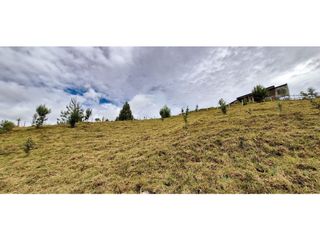 Foto 13 de Lote en venta en Belmira con excelente vista a 90 minutos de Medellín