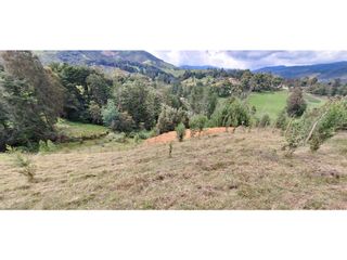 Foto 10 de Lote en venta en Belmira con excelente vista a 90 minutos de Medellín