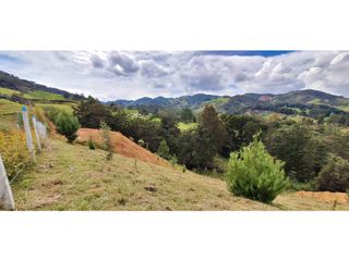Foto 20 de Lote en venta en Belmira con excelente vista a 90 minutos de Medellín