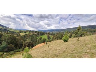 Foto 12 de Lote en venta en Belmira con excelente vista a 90 minutos de Medellín