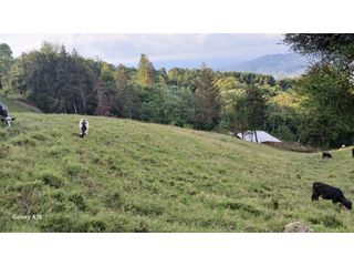 Foto 9 de FINCA Y CHALET MONTERREY, BUGA MIP- AM CW: 8454708