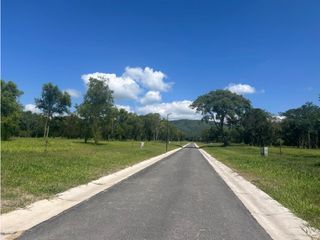Foto 4 de VENTA TERRENO EN LA ARBOLADA