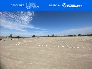 Foto 7 de Terreno en La Joya a 1 min de la Panamericana Sur