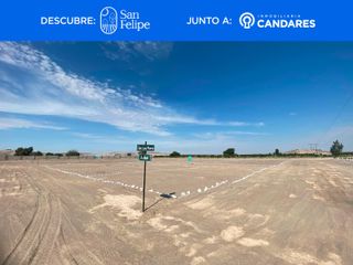 Foto 11 de Terreno en La Joya a 1 min de la Panamericana Sur