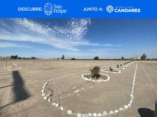 Foto 5 de Terreno en La Joya a 1 min de la Panamericana Sur