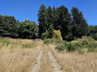 Foto 13 de Sobre Av. Bustillo km 3.5 - vista al lago - Bariloche