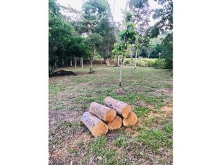 Foto 6 de Duplex Villa Tucan - Privacidad en las afueras de Tarapoto