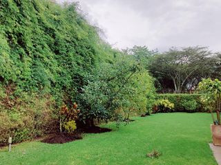 Foto 41 de Casa en  VENTA O RENTA EN EXCELENTE URBANIZACIÓN PRIVADA