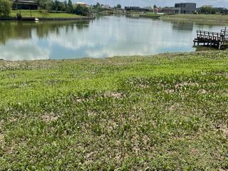 Foto 3 de VENTA LOTE  CON LAGUNA en San Sebastian AREA 10