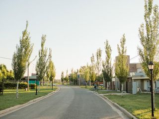 Foto 4 de lote terreno soldini