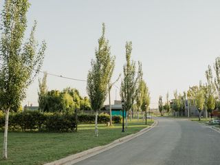 Foto 5 de lote terreno soldini