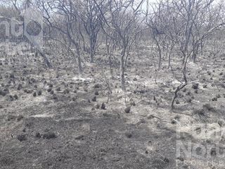 Foto 4 de Terreno - Merlo