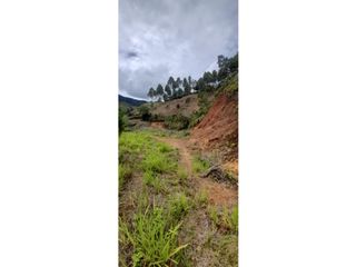 Foto 2 de Venta de lote en Ciudad Bolívar, Paraje la Mansa