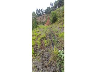 Foto 4 de Venta de lote en Ciudad Bolívar, Paraje la Mansa