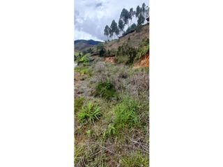 Foto 3 de Venta de lote en Ciudad Bolívar, Paraje la Mansa