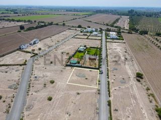 Foto 1 de Venta de terreno en Chincha – 1000 metros cuadrados