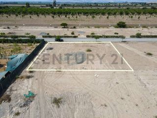 Foto 3 de Venta de terreno en Chincha – 1000 metros cuadrados
