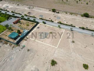 Foto 8 de Venta de terreno en Chincha – 1000 metros cuadrados