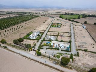 Foto 6 de Venta de terreno en Chincha – 1000 metros cuadrados