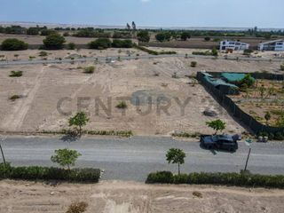 Foto 7 de Venta de terreno en Chincha – 1000 metros cuadrados