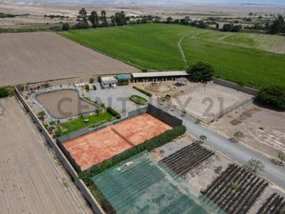 Foto 5 de Venta de terreno en Chincha – 1000 metros cuadrados