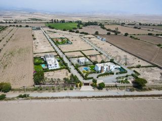 Foto 2 de Venta de terreno en Chincha – 1000 metros cuadrados